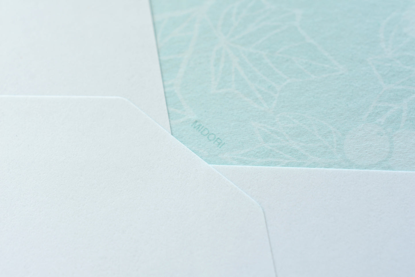 Envelopes - Ivy