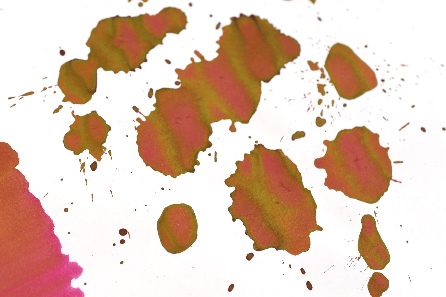 Diamine Black Edition - Standard - Cranberry