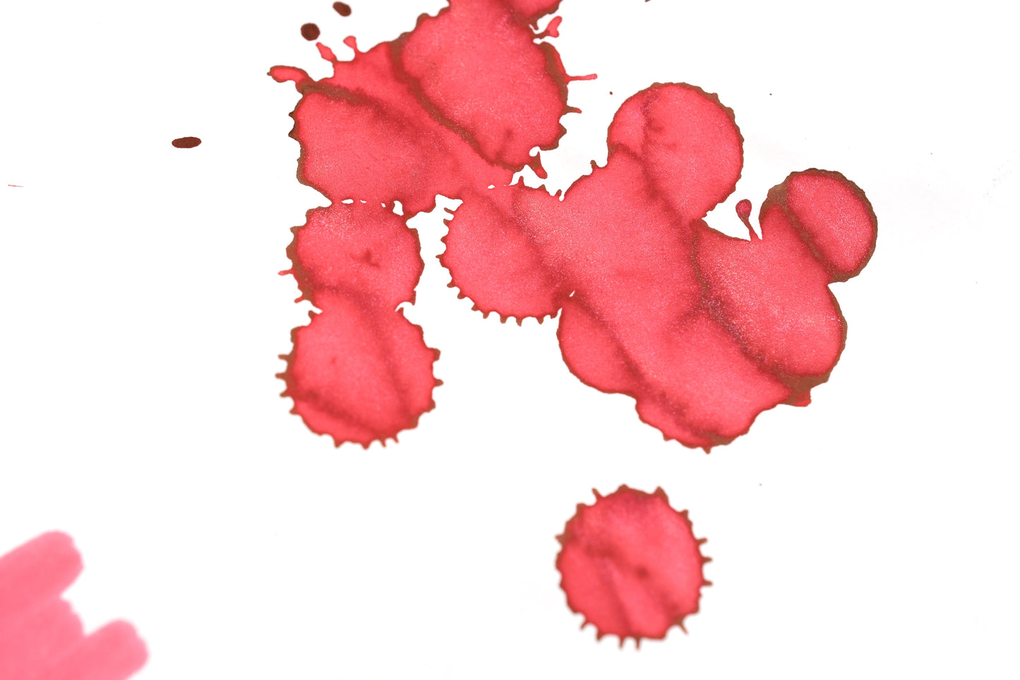 Diamine Black Edition - Chameleon - Winterberry