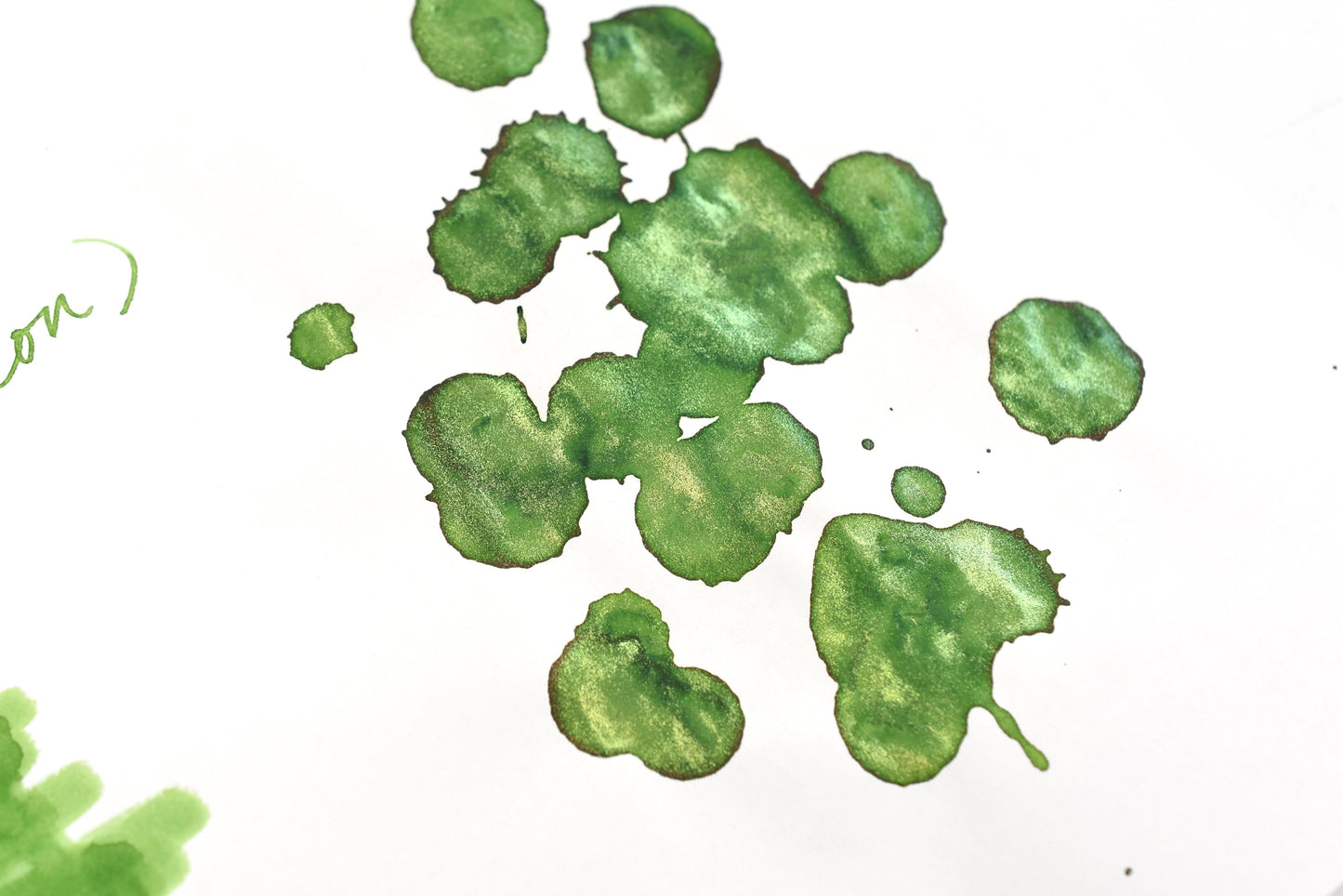 Diamine Black Edition - Chameleon - Pine Needle