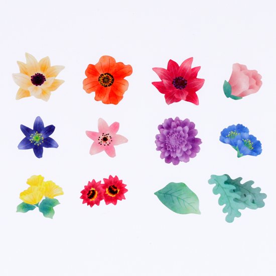Bande Colorful Bouquet