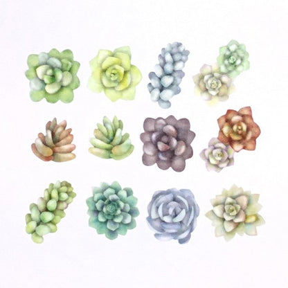 Bande Sedum