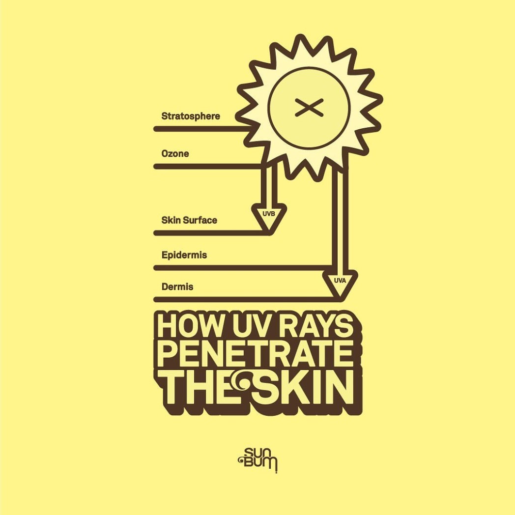 SUN BUM - Face Lotion Sunscreen SPF 50