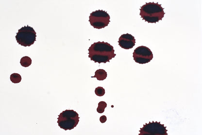 Diamine Fountain Pen Ink - 150th Anniversary Series - 1864 Blue Black