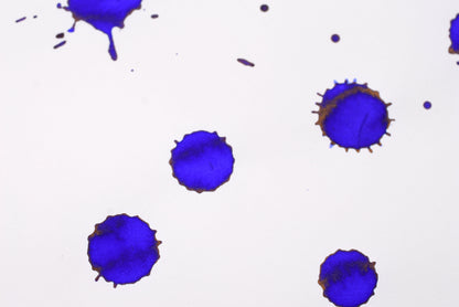 Diamine Fountain Pen Ink - Sapphire Blue - 30mL