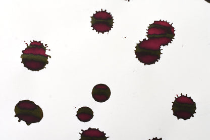 Diamine Red Edition - Raspberry Rose