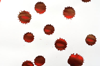 Diamine Fountain Pen Ink - Wild Strawberry - 30mL