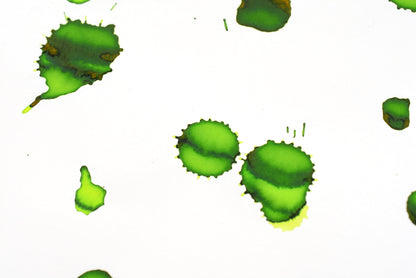 Diamine Fountain Pen Ink - Jade Green - 30mL