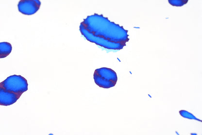 Diamine Fountain Pen Ink - Beau Blue - 30mL