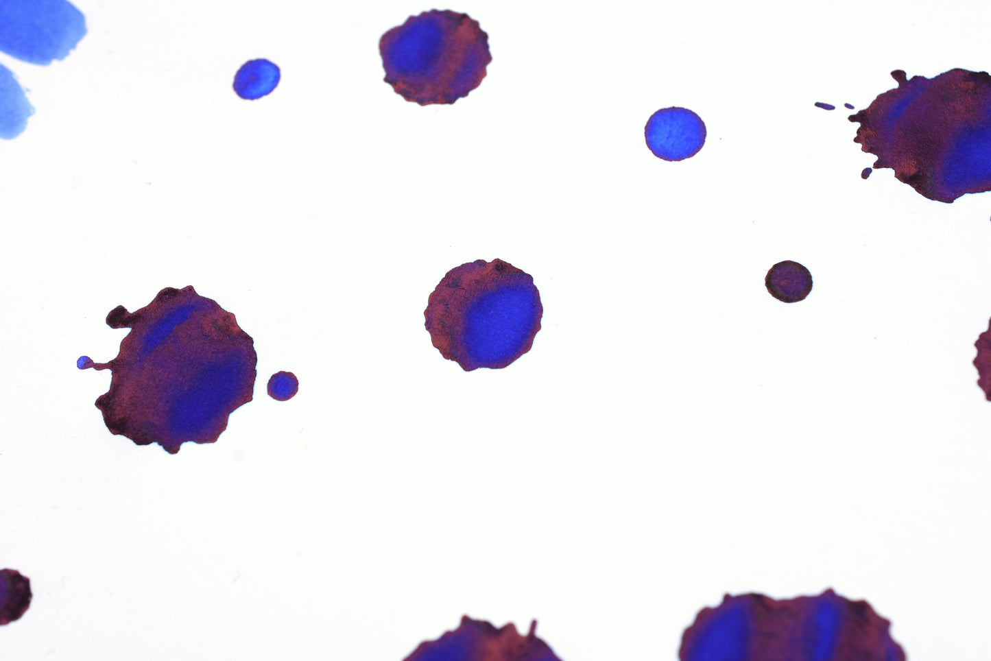 Diamine Fountain Pen Ink - Washable Blue - 30mL