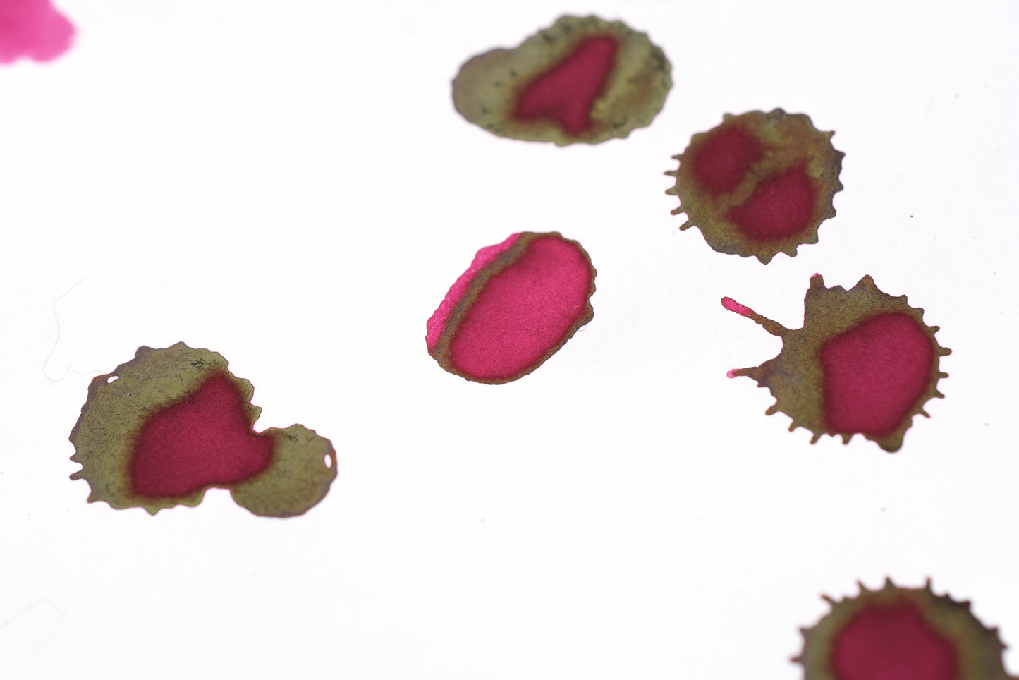 Diamine Fountain Pen Ink - Amaranth - 30mL