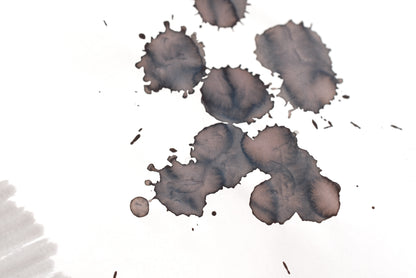 Diamine Black Edition - Standard - Tundra