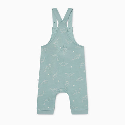 Dino Dungarees & Plain Bodysuit Outfit