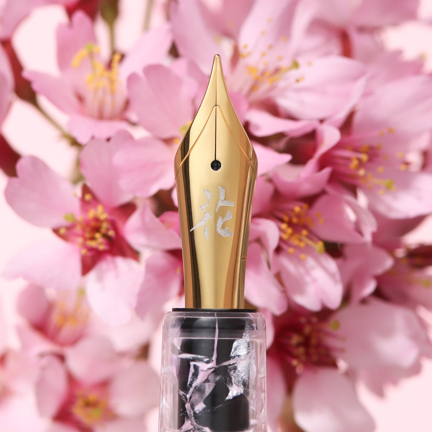 Esterbrook x BUNGUBOX Estie Fountain Pen - Kachofugetsu - Flower - Limited Edition