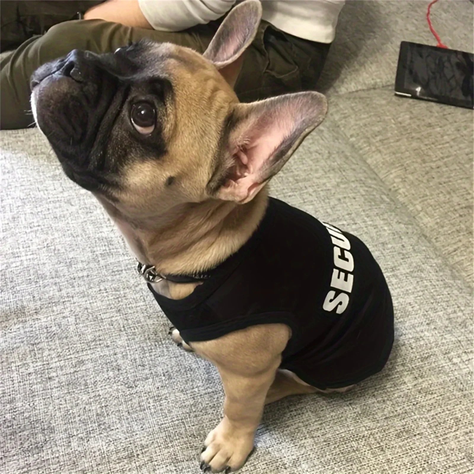 Dog and cat clothes breathable cute letter print thin cartoon pet sleeveless top