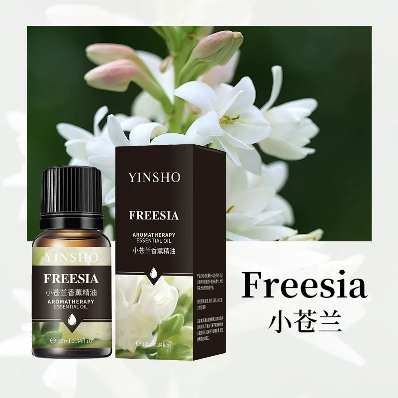 Aromatherapy 10ml Essential Oils for Humidifier Aromatic Oil Fragrance Oil Water-soluble Lavender Rose Lemon Mint