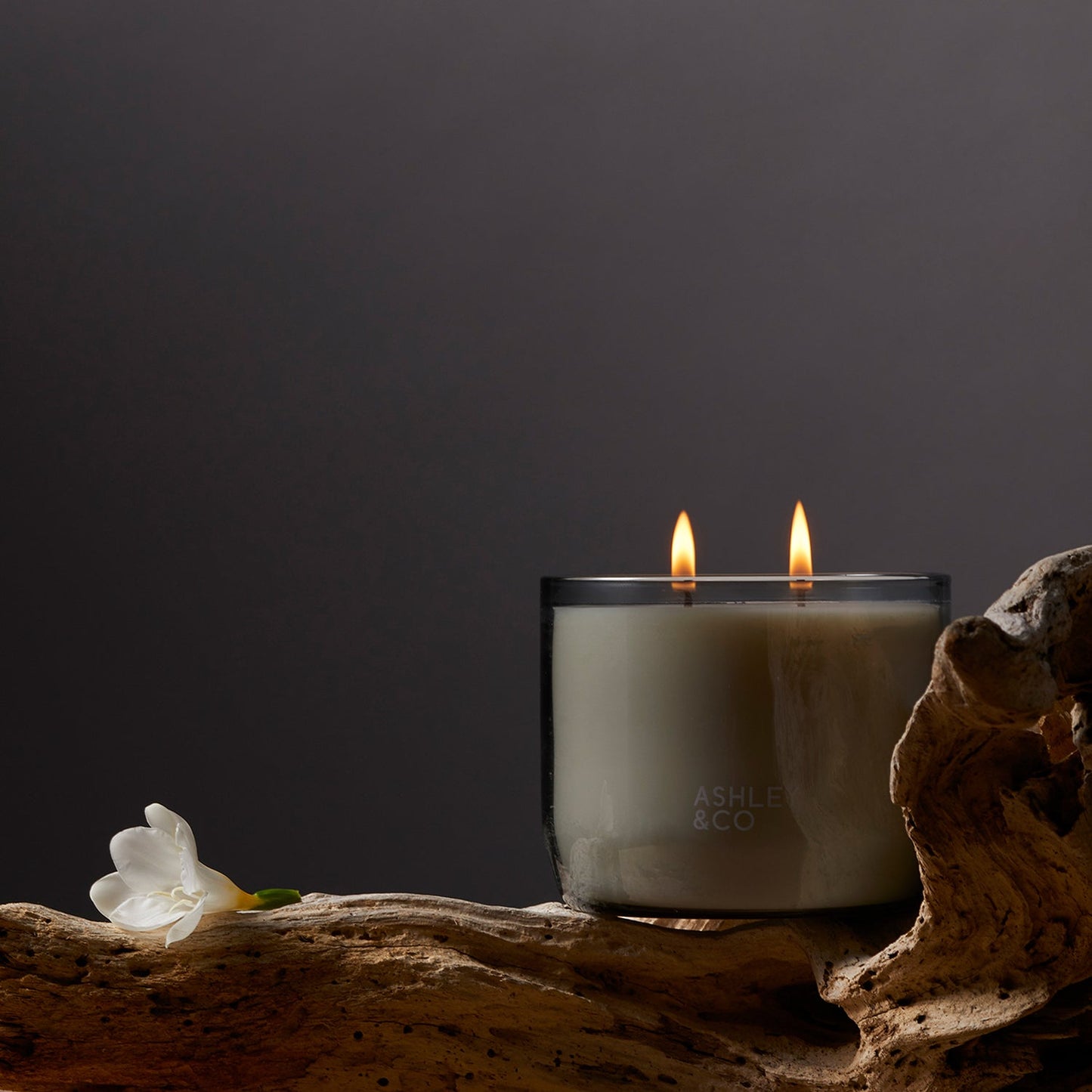 ashley + co | waxed perfume scented XL candle | blossom + gilt
