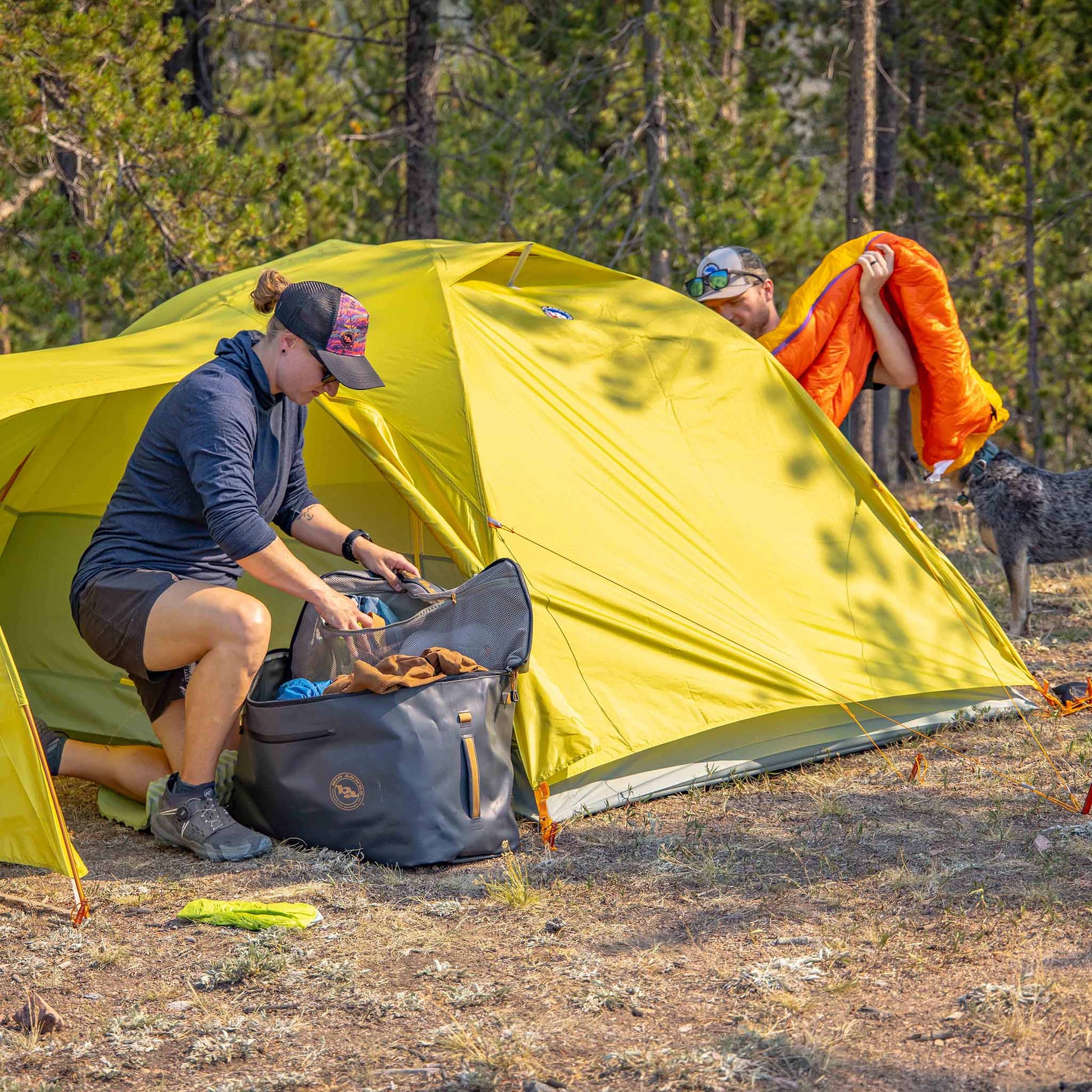 Blacktail Hotel 2