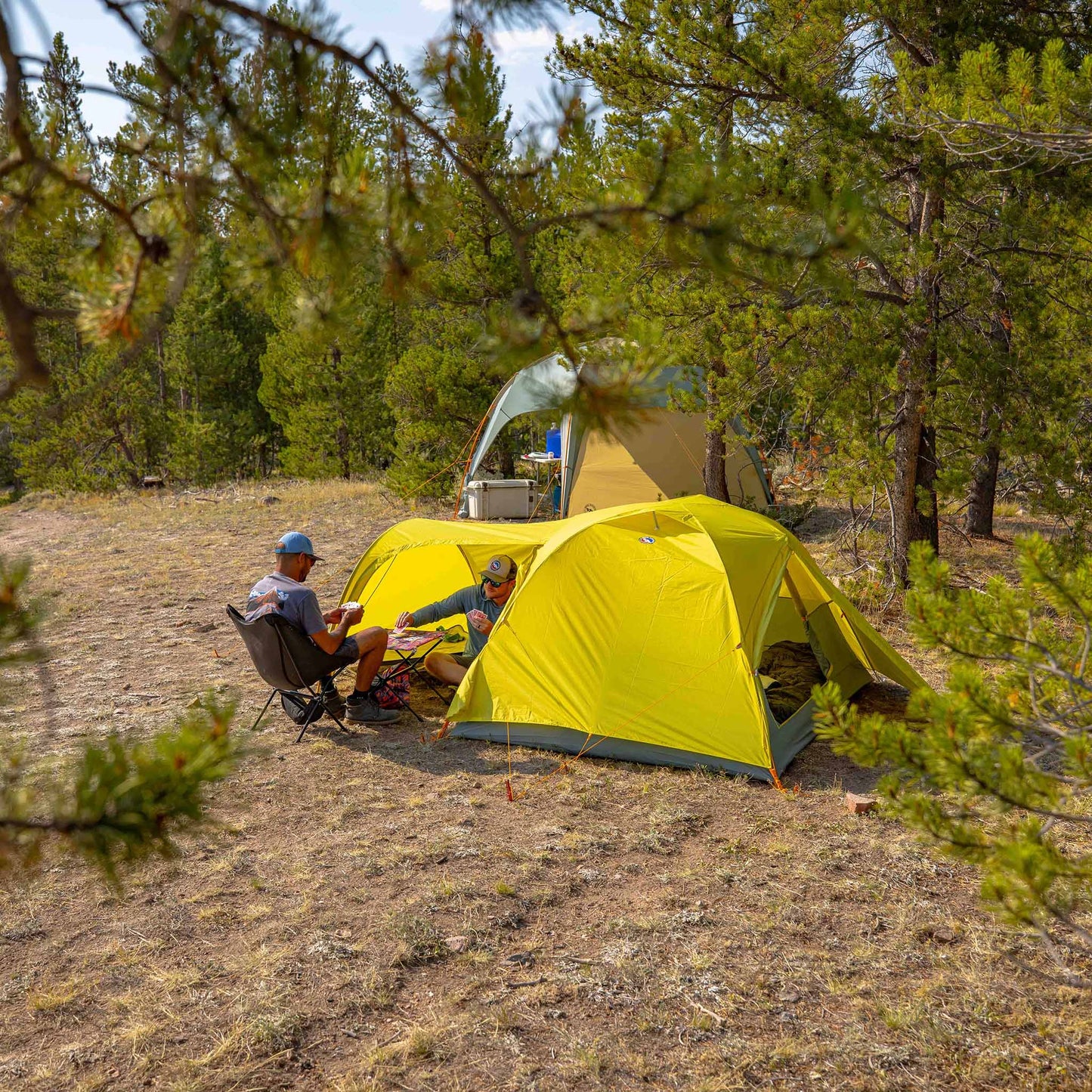 Blacktail Hotel 2