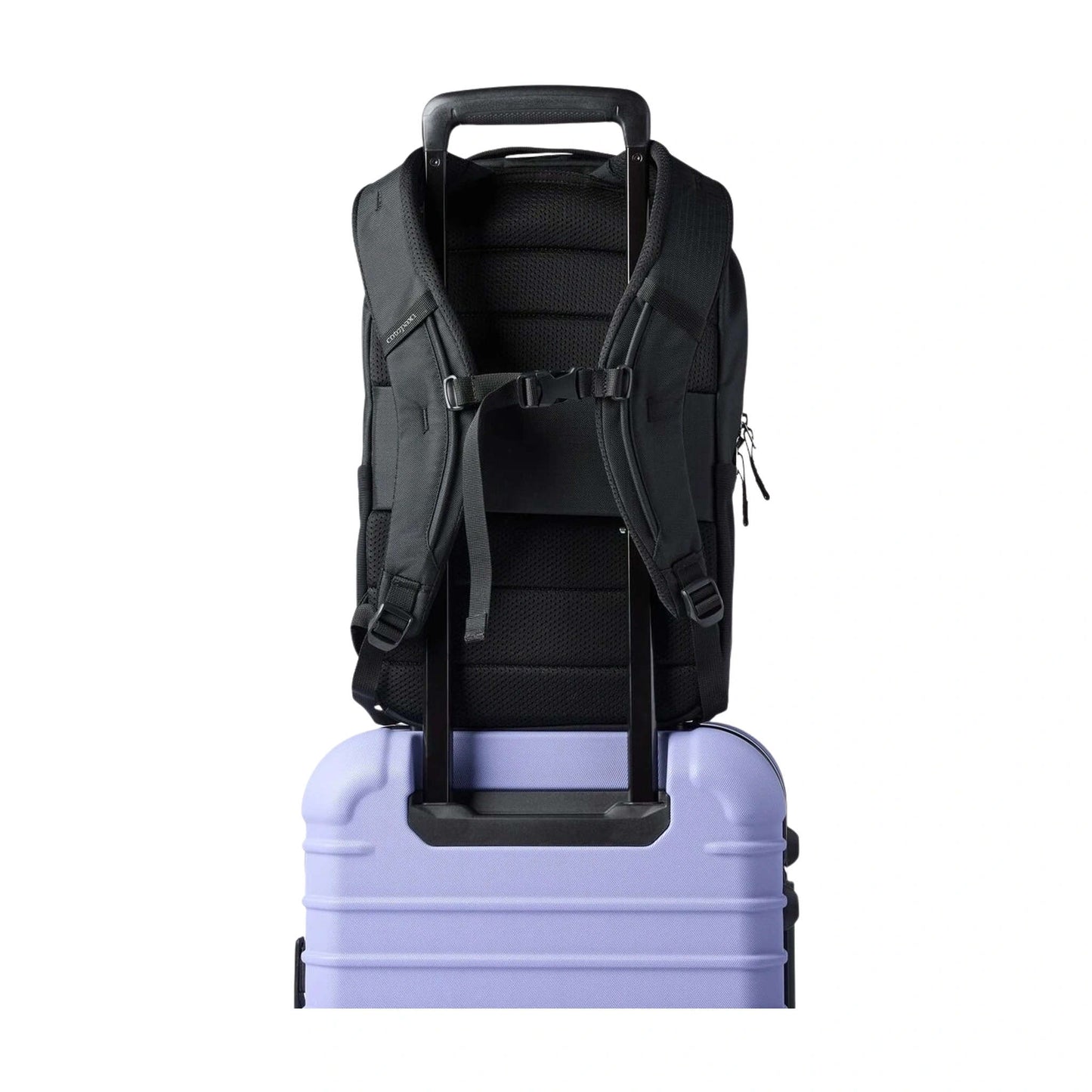 Allpa Daypack | 18L
