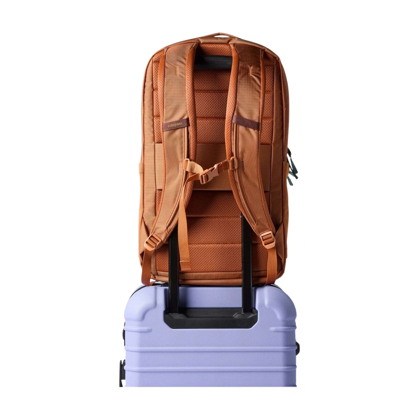 Allpa Daypack | 26L