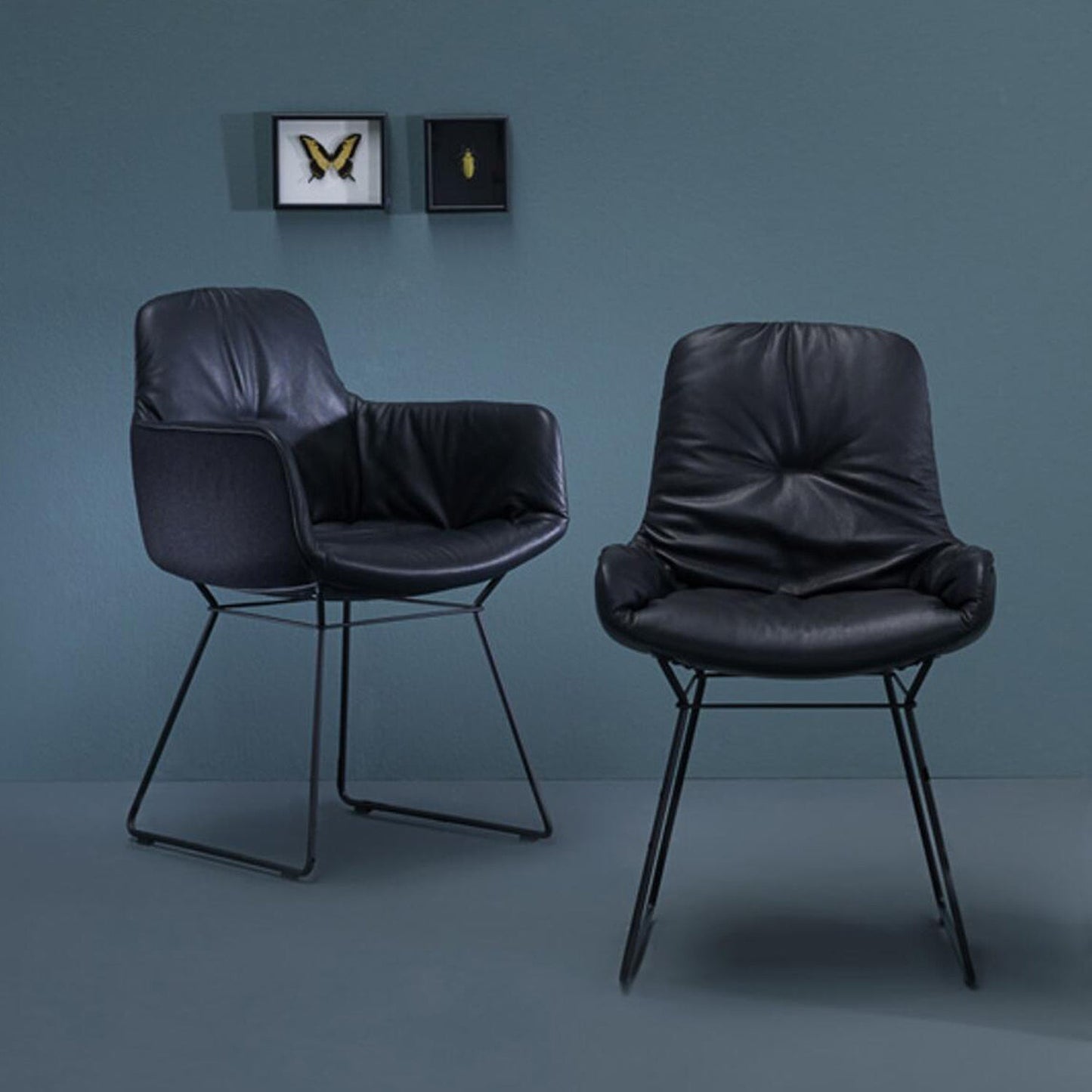 freifrau | leya armchair low | wire frame | sahara ebony (black) leather