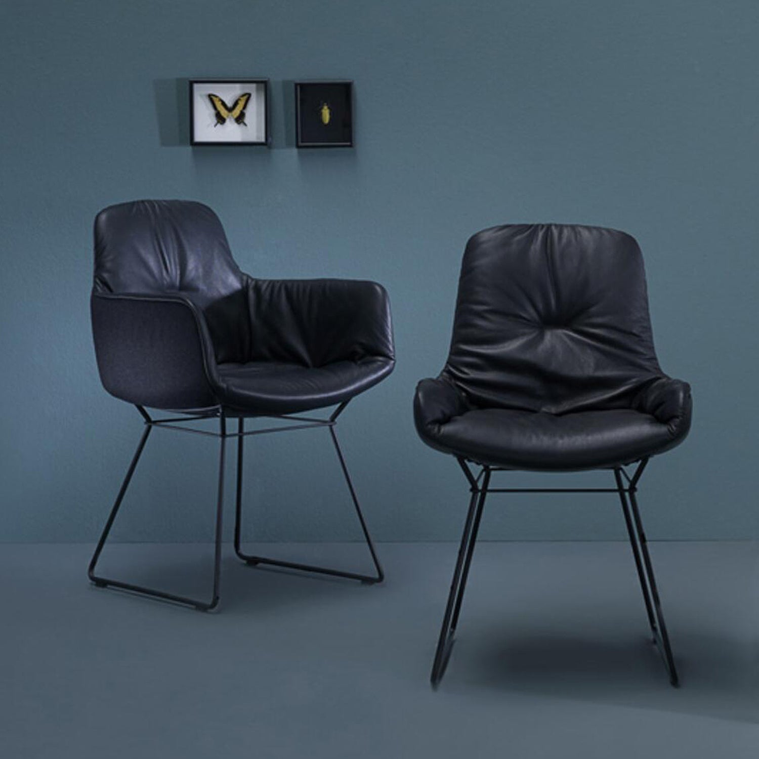 freifrau | leya armchair low | wire frame | sahara ebony (black) leather