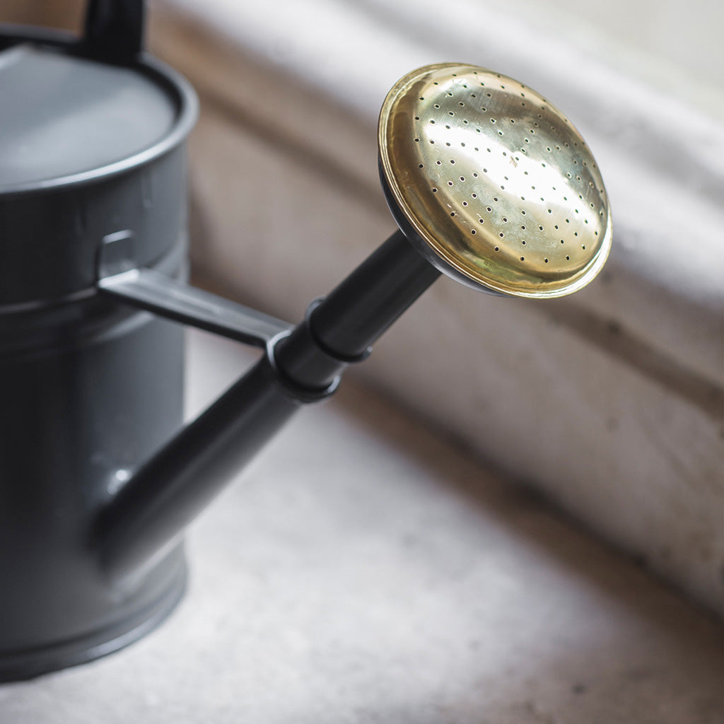 Classic Watering Can