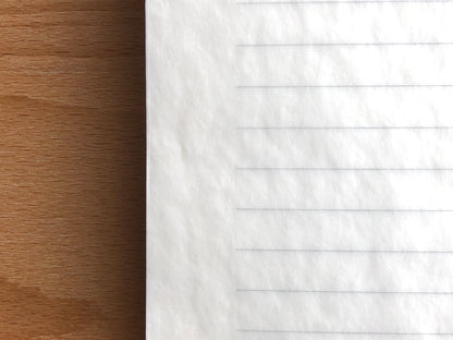 Airmail Letter Pad