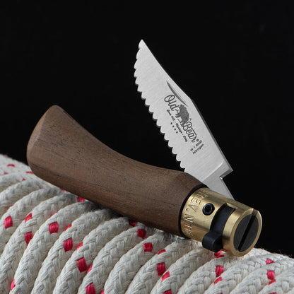 Classic Walnut Folding Knife | Stainless Serrated